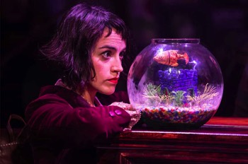  Amelie The Musical Production ImageAmelie The Musical Production Image. Amelie (Audrey Brisson) stares intently at her goldfish, Fluffy, in its goldfish bowl. 